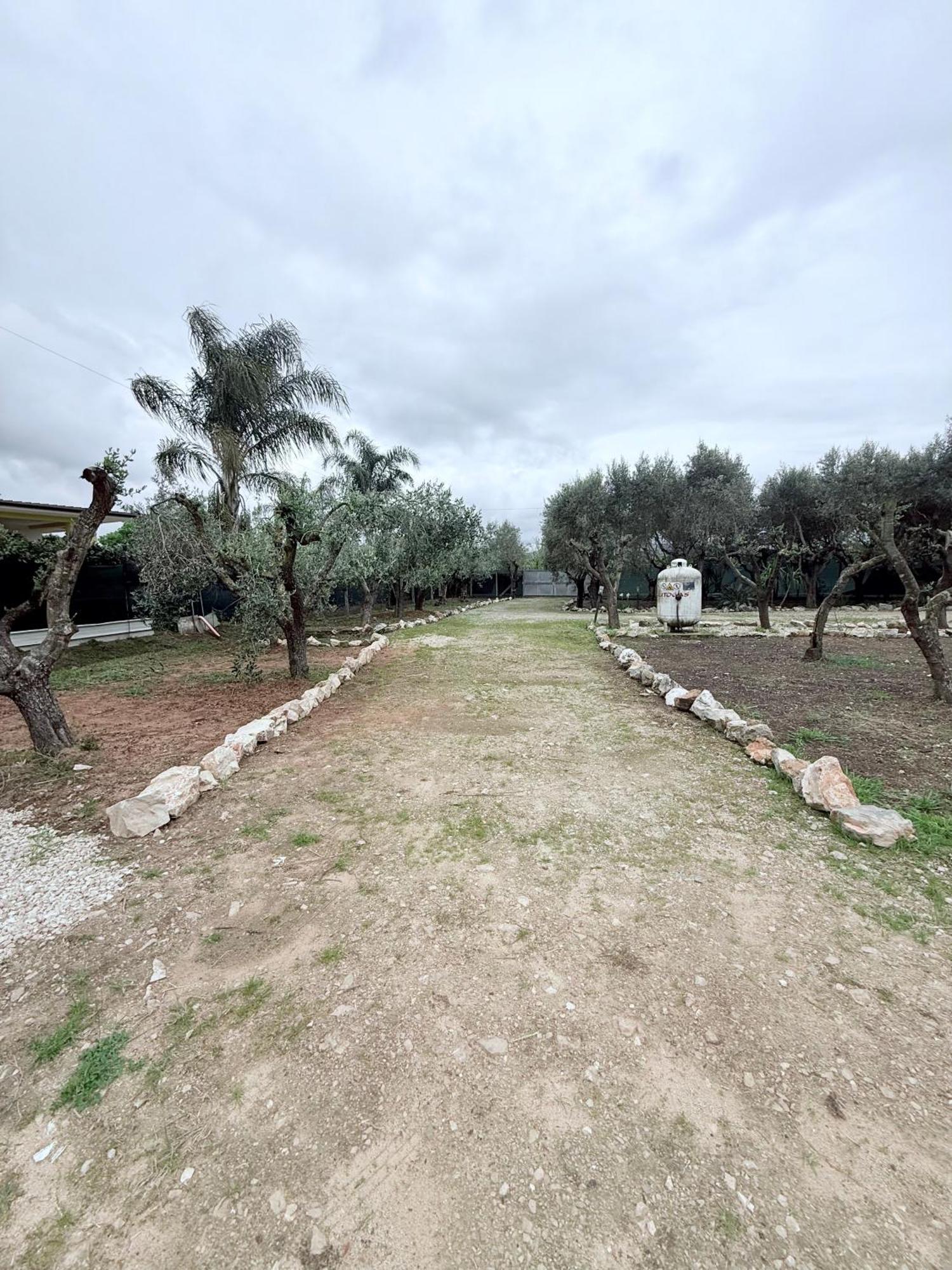 La Perla Di Dea Villa ลิโด ดิ ฟอนติ ภายนอก รูปภาพ
