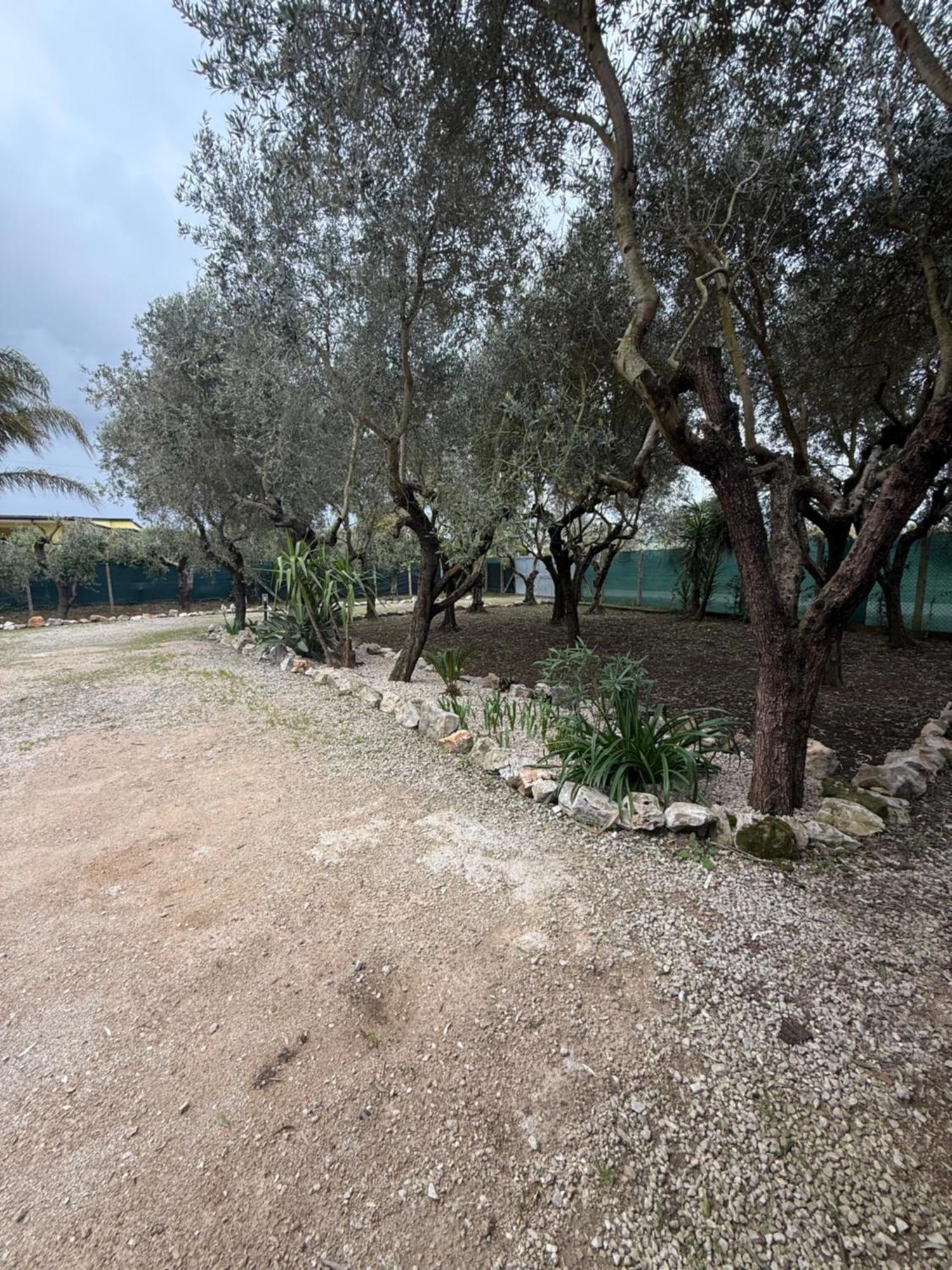 La Perla Di Dea Villa ลิโด ดิ ฟอนติ ภายนอก รูปภาพ